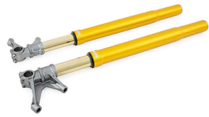 Ohlins FGR 250 Front Fork Set - Yamaha YZF-R1 / YZF-R6