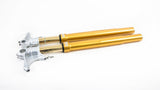 Ohlins FGRT 200 Front Fork Set - Kawasaki ZZR1400