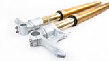 Ohlins FGRT 200 Front Fork Set - Kawasaki ZZR1400