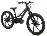Patrol EMX 20 MTB