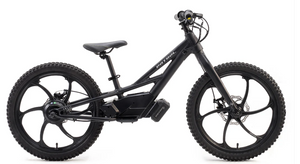 Patrol EMX 20 MTB